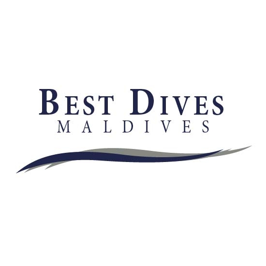 Best Dives Maldives