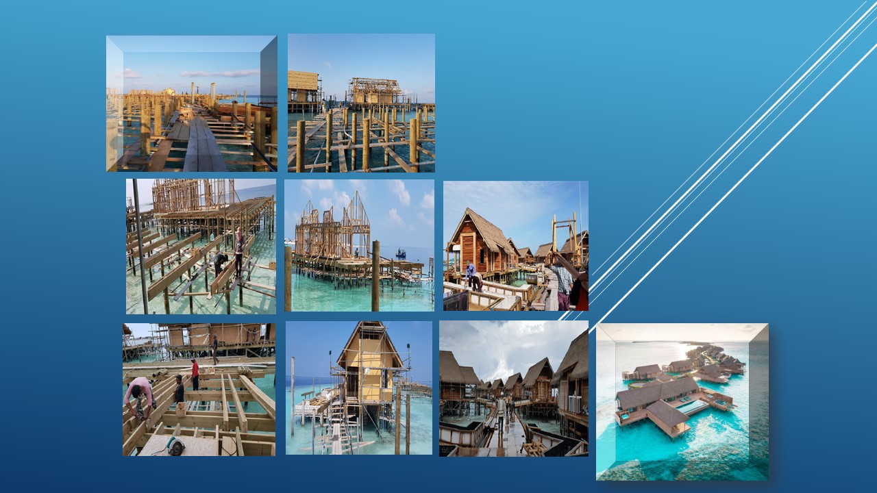 Alia Construction Pvt Ltd