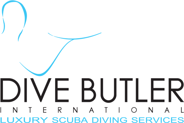 DBI Maldives Pvt Ltd